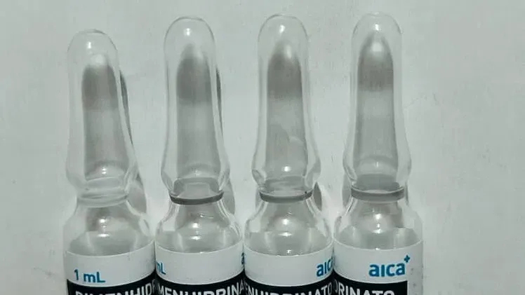 Gravinol, ácido tranexamico, Furosemida, Diazepam, Fenitoína, metoclopramida
